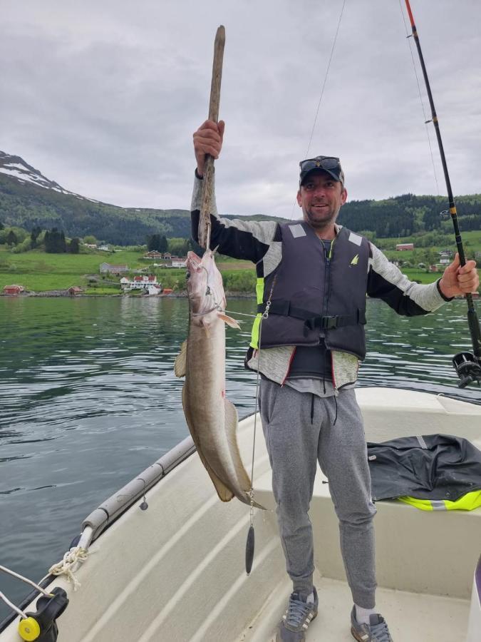 Kvernesfjorden Apartments Steinsgrenda Buitenkant foto